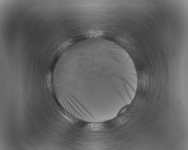X0000056310526200509231924