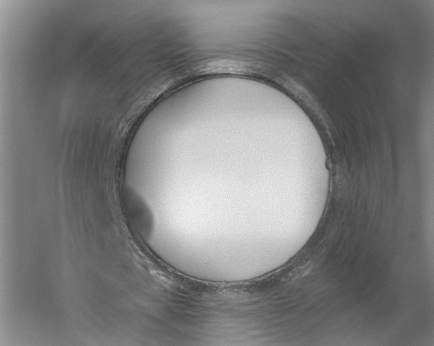 X0000056310529200509231923