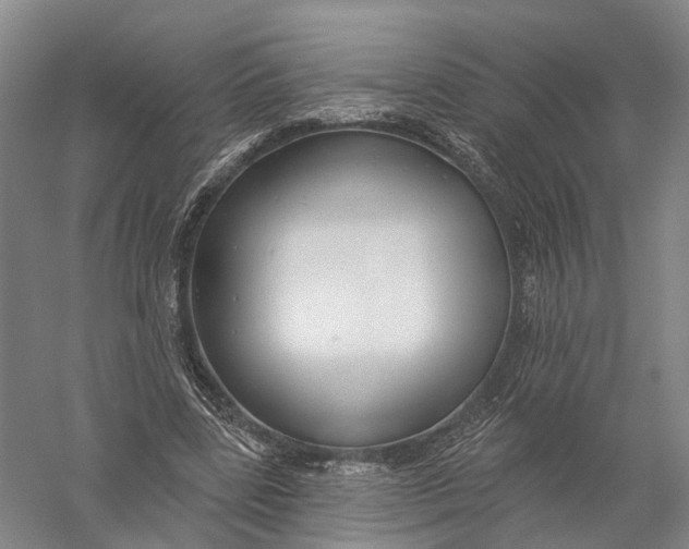 X0000056310539200509231923