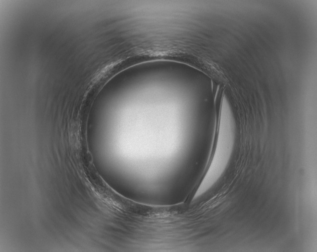 X0000056310540200509231923