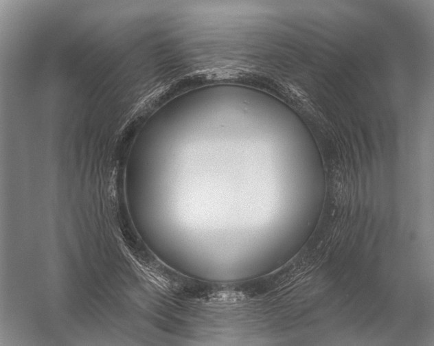 X0000056310543200509231923