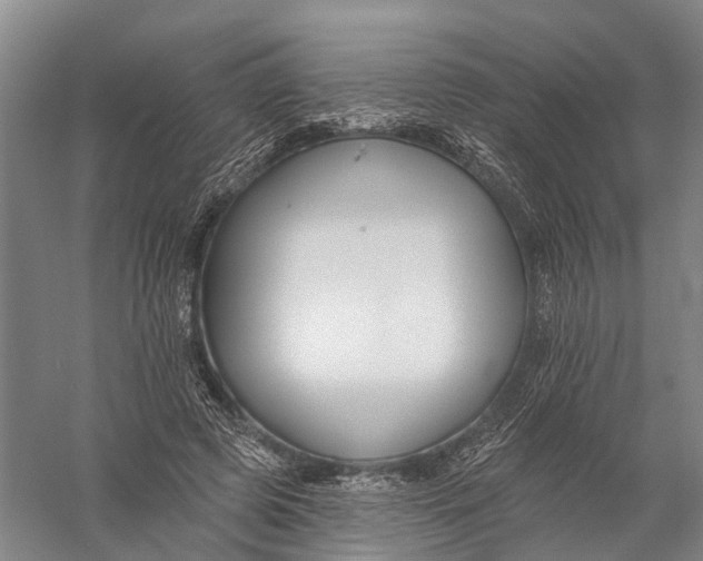 X0000056310545200509231923