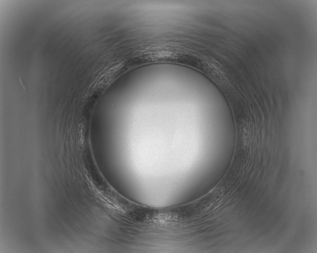 X0000056310546200509231923