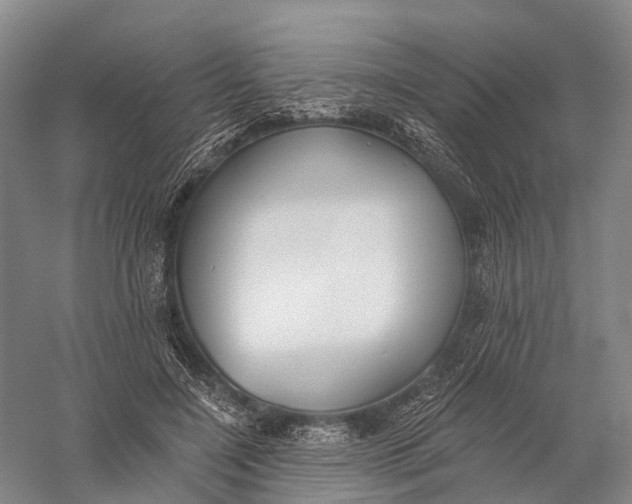 X0000056310548200509231923