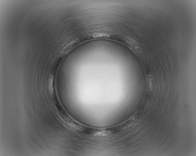 X0000056310550200509231923