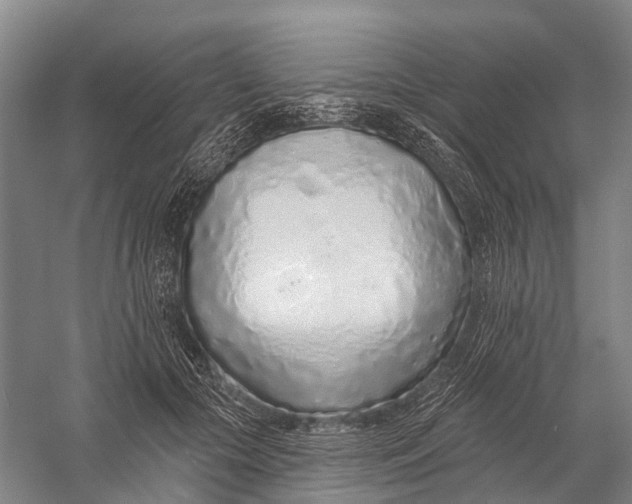 X0000056310553200509231923