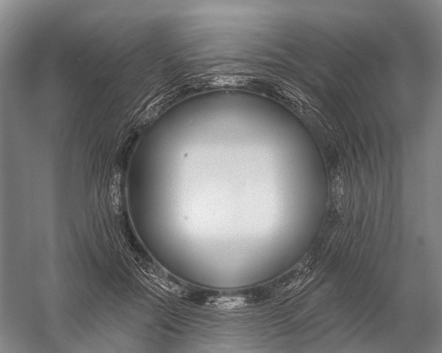 X0000056310554200509231923