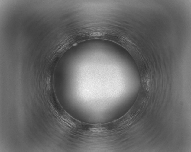 X0000056310556200509231923