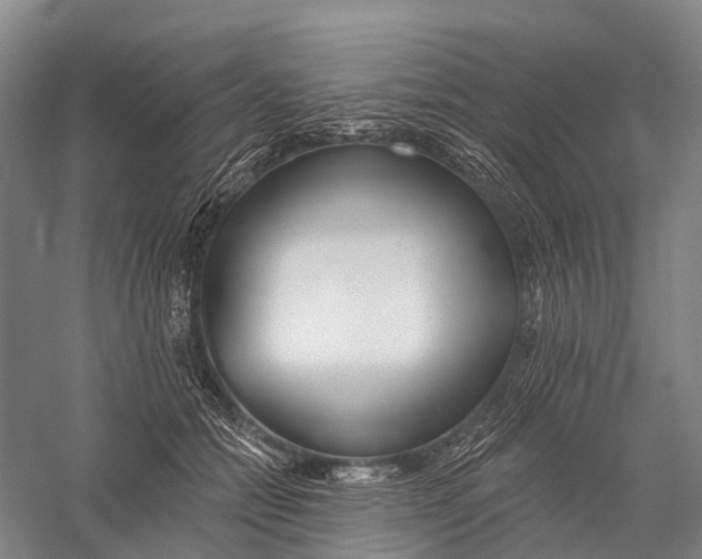 X0000056310558200509231923