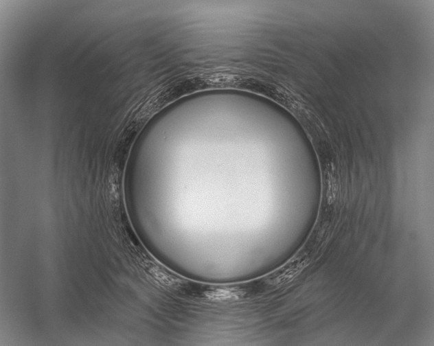 X0000056310561200509231923