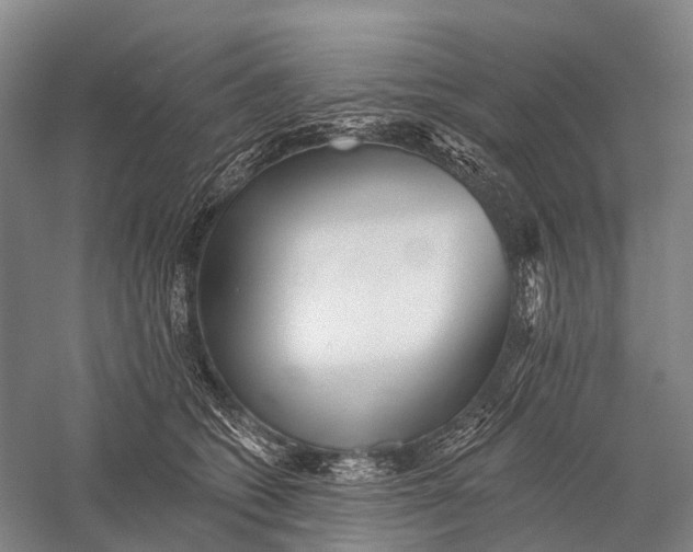 X0000056310562200509231923