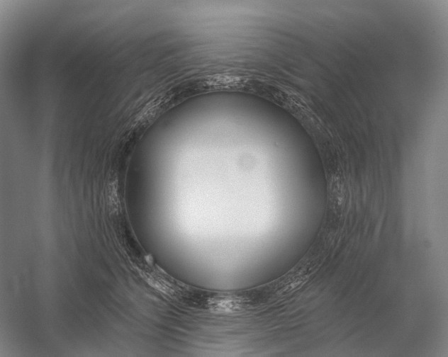 X0000056310564200509231923