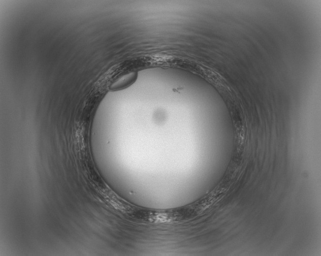 X0000056310565200509231923