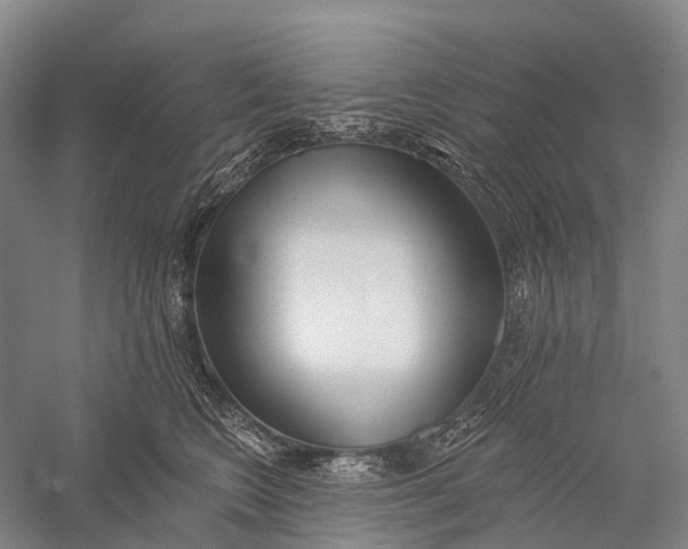 X0000056310566200509231923