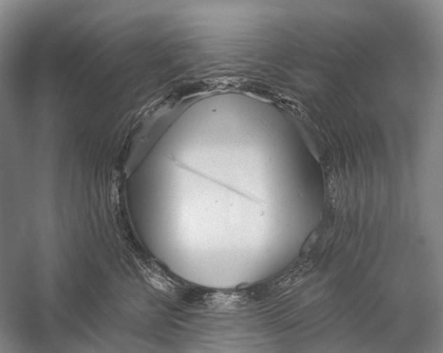 X0000056310570200509231923