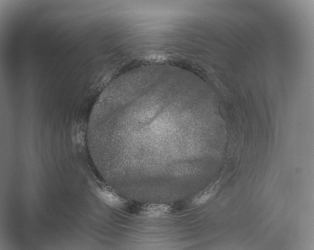 X0000056310576200509231924