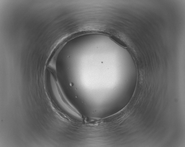 X0000056310580200509231923