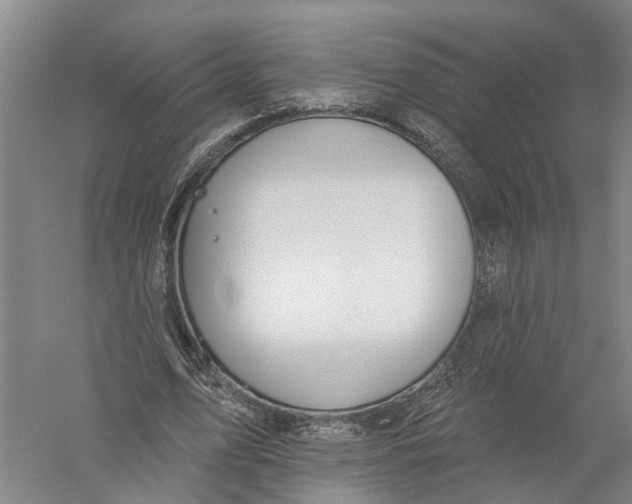 X0000056310583200509231923