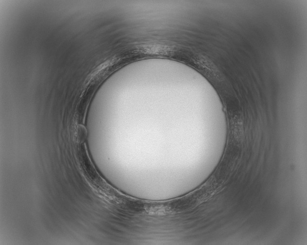 X0000056310587200509231923