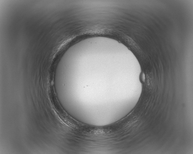 X0000056310588200509231922