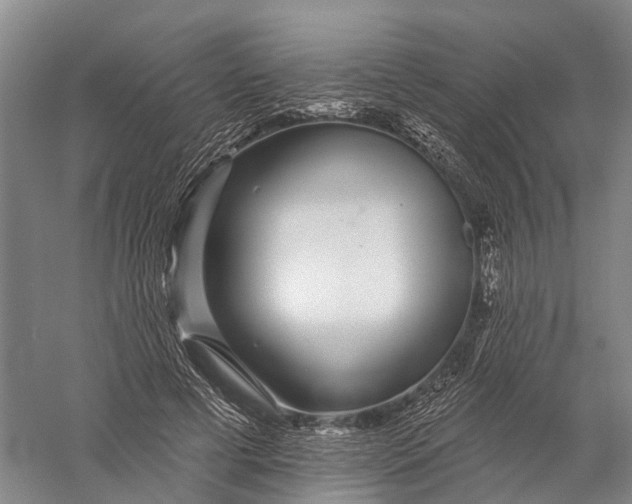 X0000056310593200509231922