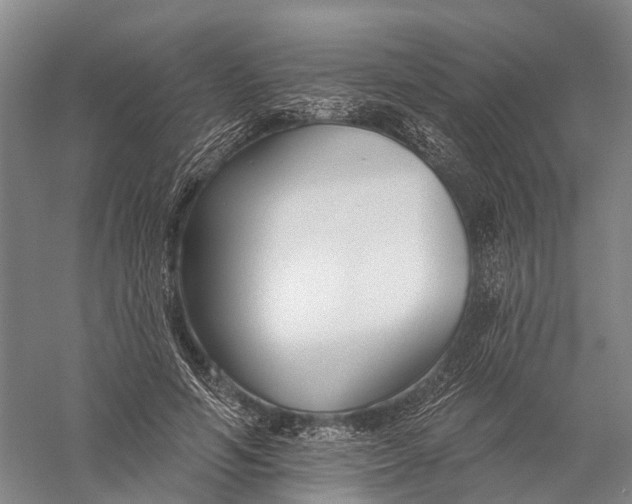 X0000056310594200509231922