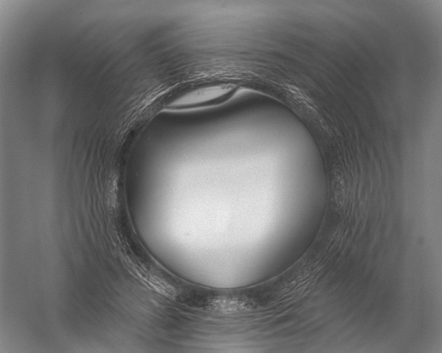 X0000056310596200509231922