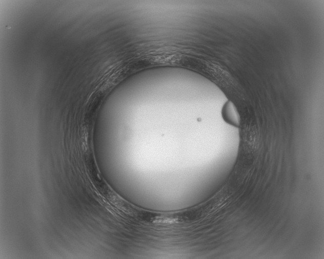 X0000056310602200509231922