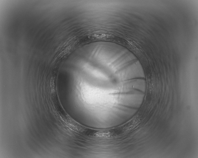 X0000056310606200509231922