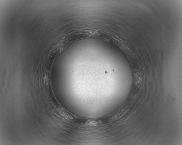 X0000056310613200509231922