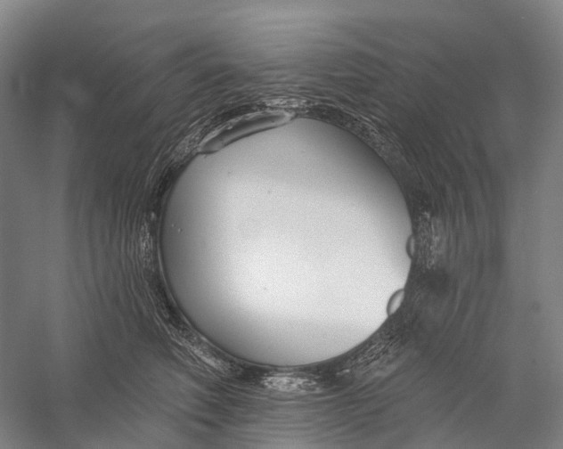 X0000056310614200509231922