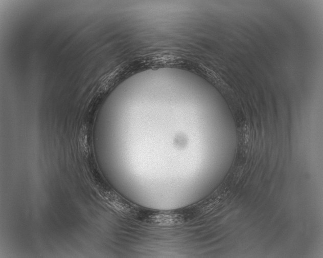 X0000056310615200509231922