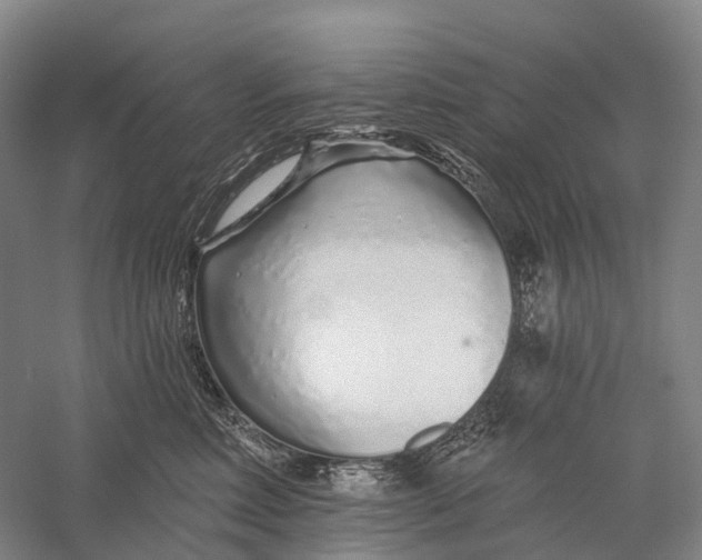 X0000056310618200509231922