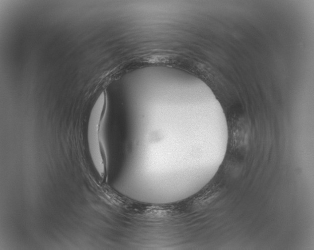 X0000056310620200509231922