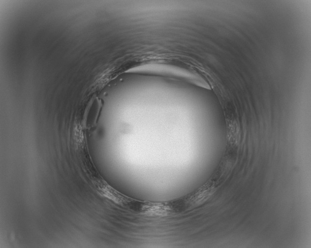 X0000056310621200509231922