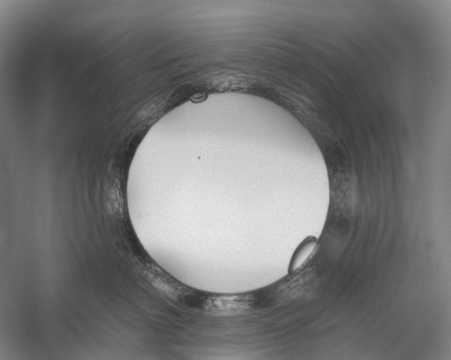 X0000056310622200509231922