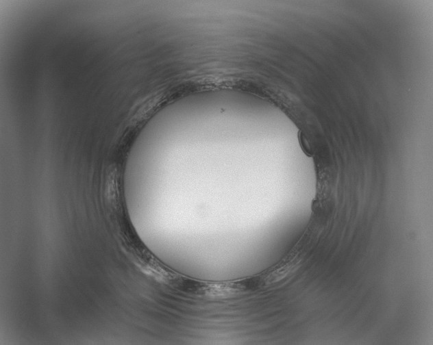 X0000056310623200509231922