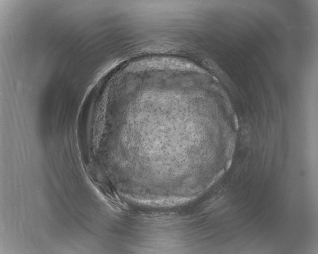 X0000056310626200509231921