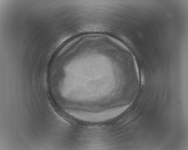 X0000056310627200509231921