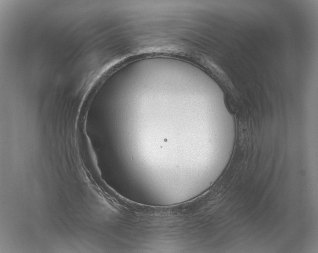 X0000056310628200509231921