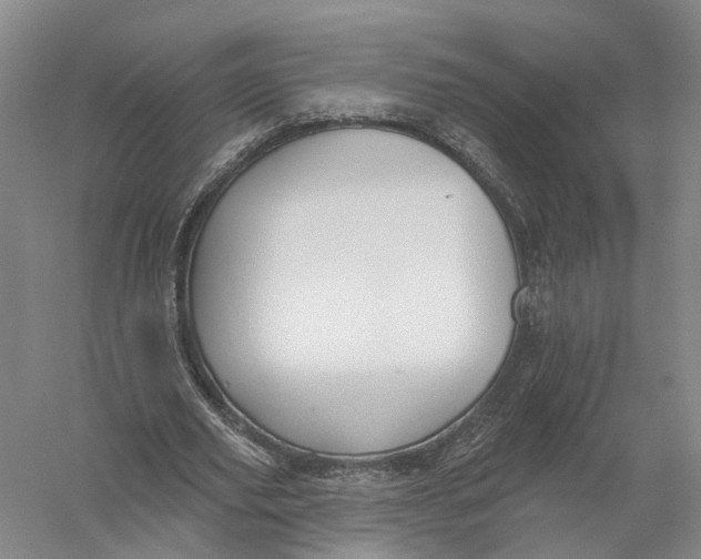 X0000056310629200509231921