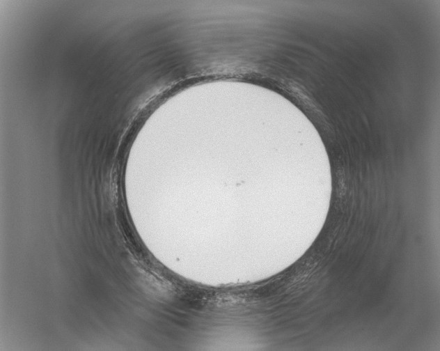 X0000056310632200509231921
