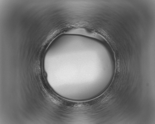 X0000056310634200509231921