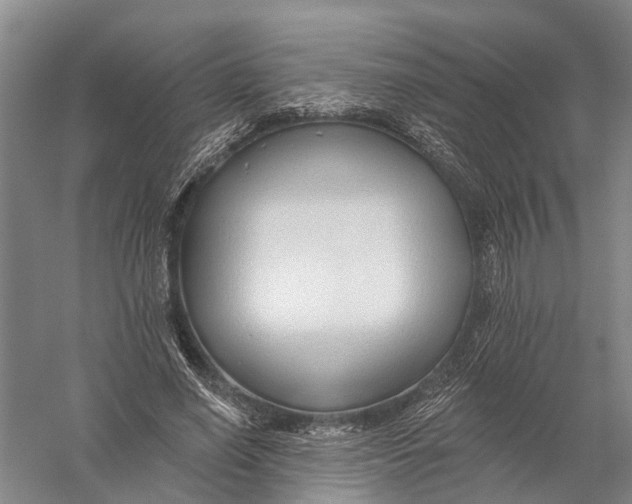 X0000056310638200509231921