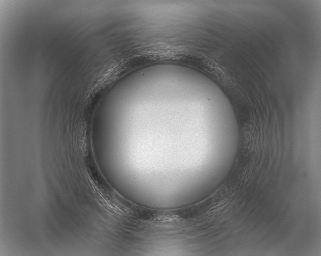 X0000056310642200509231921