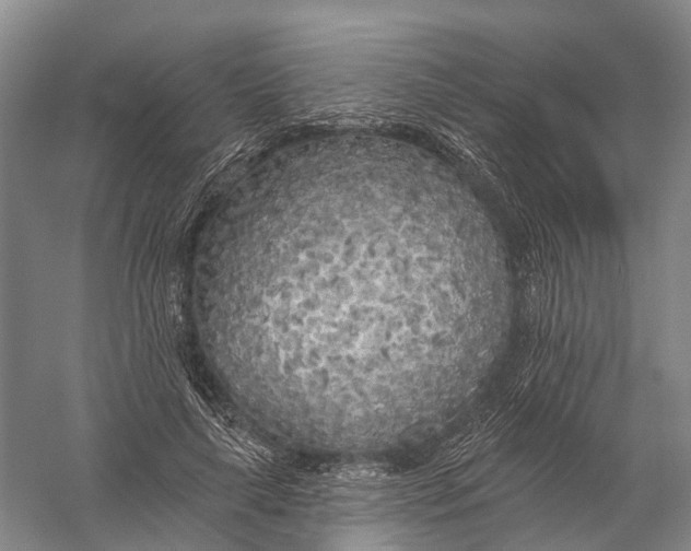 X0000056310643200509231921