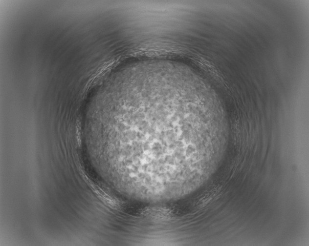 X0000056310644200509231921