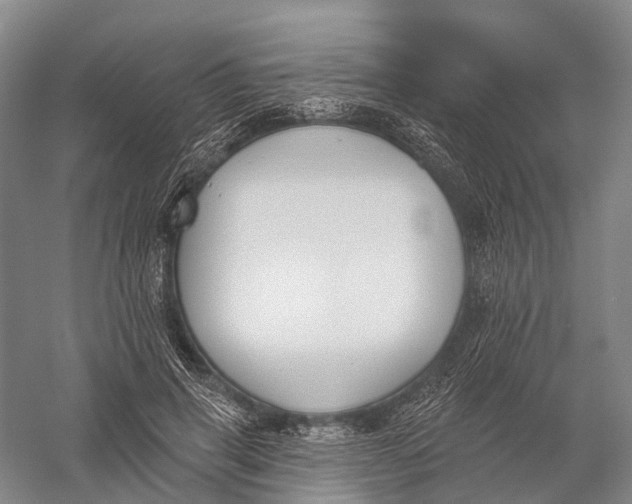 X0000056310645200509231921