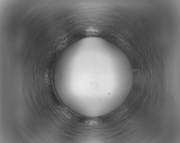 X0000056310655200509231922