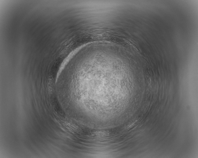 X0000056310659200509231922